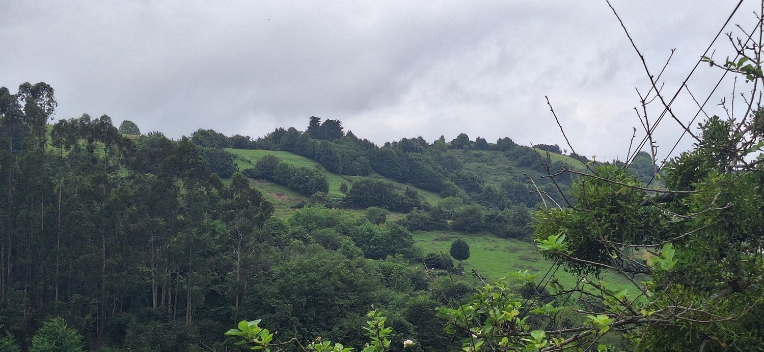 Grunde uden byggetilladelser til salg i Gijon - € 78.000 (Ref: 9102646)