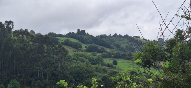 Mark till salu i Gijón - 78 000 € (Ref: 9102646)