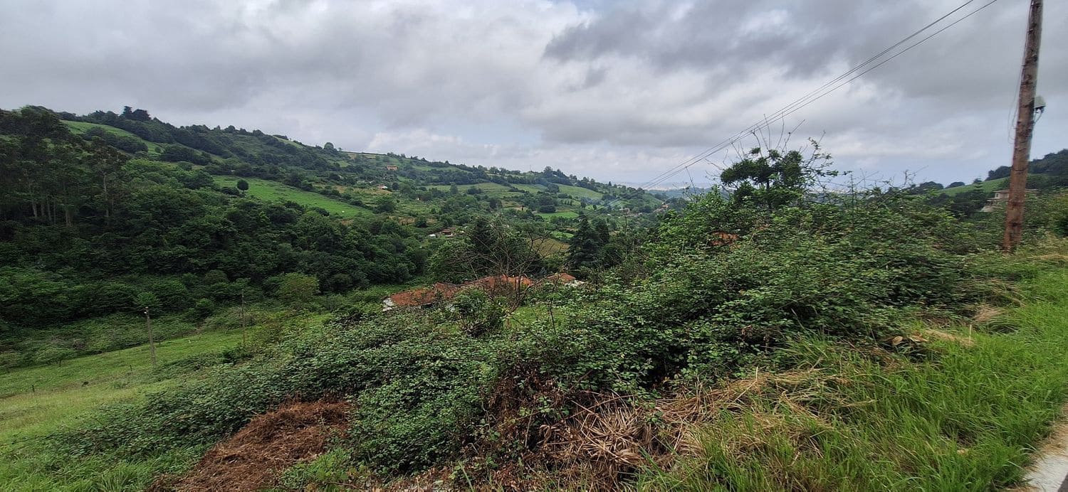 Grunde uden byggetilladelser til salg i Gijon - € 78.000 (Ref: 9102646)