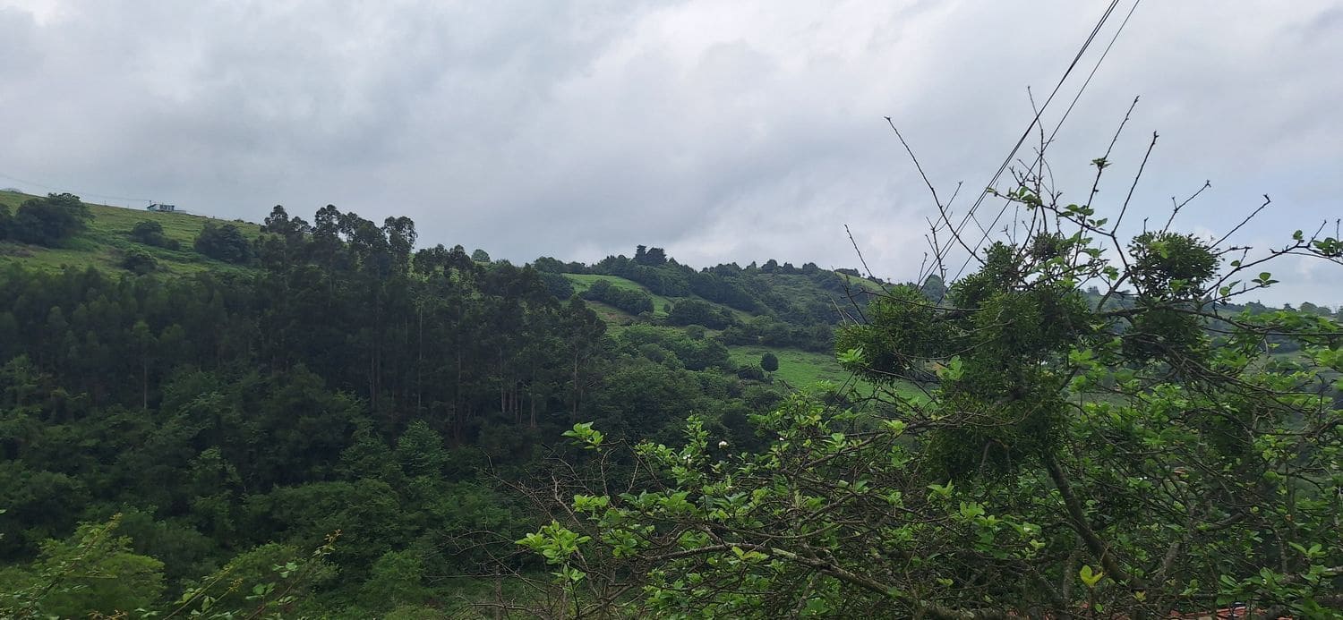 Grunde uden byggetilladelser til salg i Gijon - € 78.000 (Ref: 9102646)