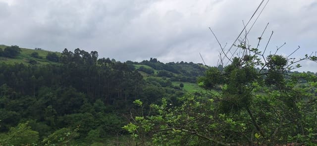 Mark till salu i Gijón - 78 000 € (Ref: 9102646)