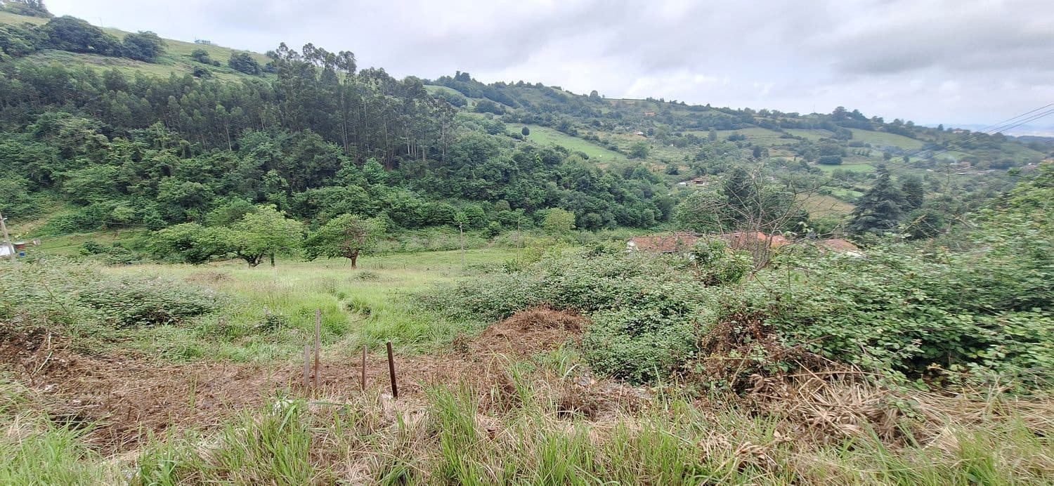 Grunde uden byggetilladelser til salg i Gijon - € 78.000 (Ref: 9102646)