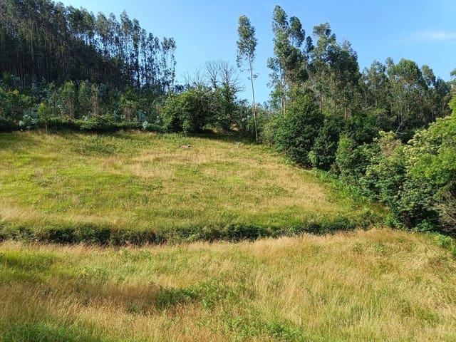 Landgrundstück zu verkaufen in Llanera - 28.000 € (Ref: 9106315)