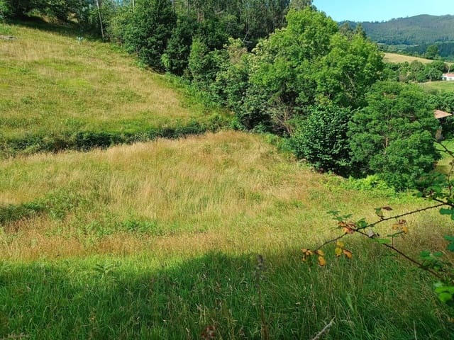 Landgrundstück zu verkaufen in Llanera - 28.000 € (Ref: 9106315)