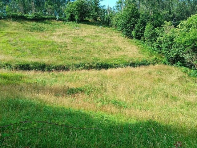 Landgrundstück zu verkaufen in Llanera - 28.000 € (Ref: 9106315)