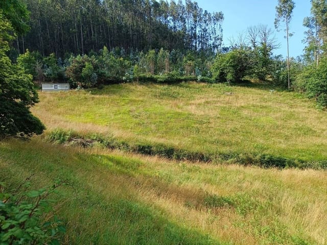 Landgrundstück zu verkaufen in Llanera - 28.000 € (Ref: 9106315)