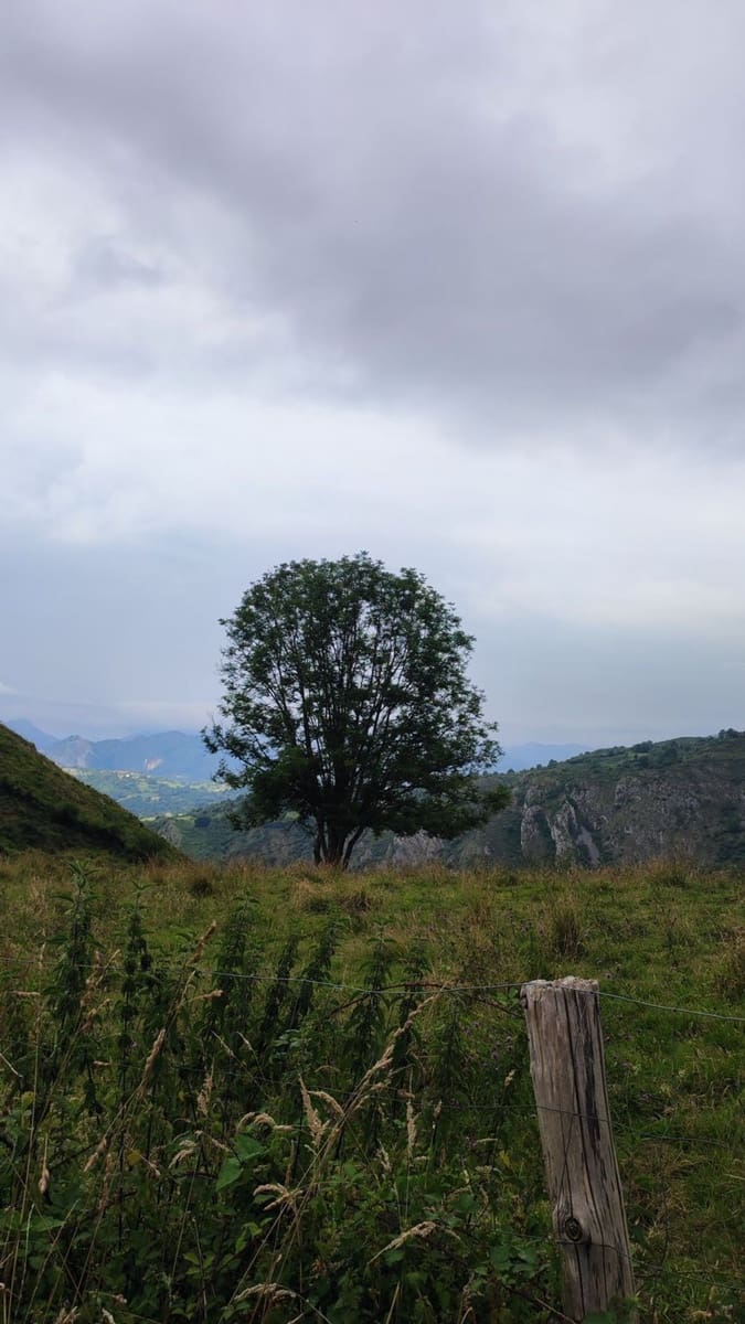 3 soveværelse Finca/Landehus til salg i Parres med garage - € 52.000 (Ref: 9118454)