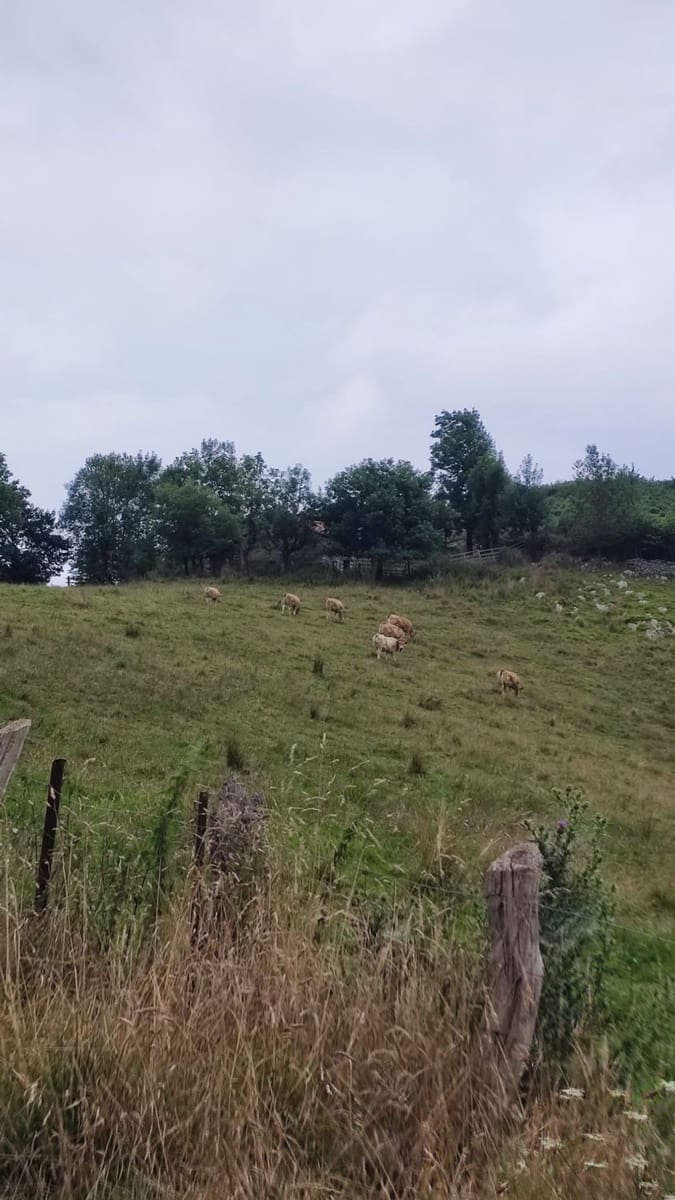 3 soveværelse Finca/Landehus til salg i Parres med garage - € 52.000 (Ref: 9118454)