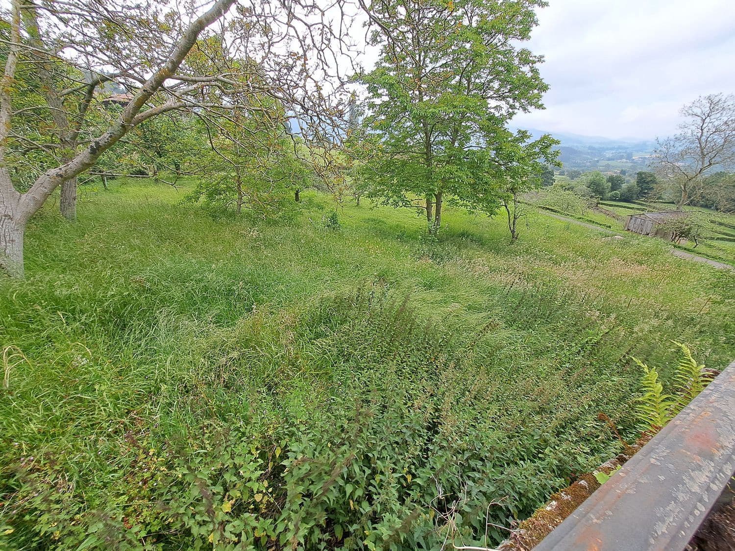 Grunde uden byggetilladelser til salg i Villaviciosa - € 40.000 (Ref: 9124562)