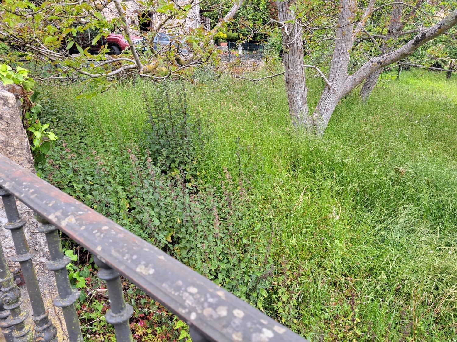 Grunde uden byggetilladelser til salg i Villaviciosa - € 40.000 (Ref: 9124562)