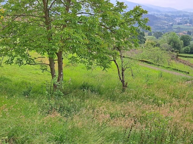 Grond te koop in Villaviciosa - € 40.000 (Ref: 9124562)