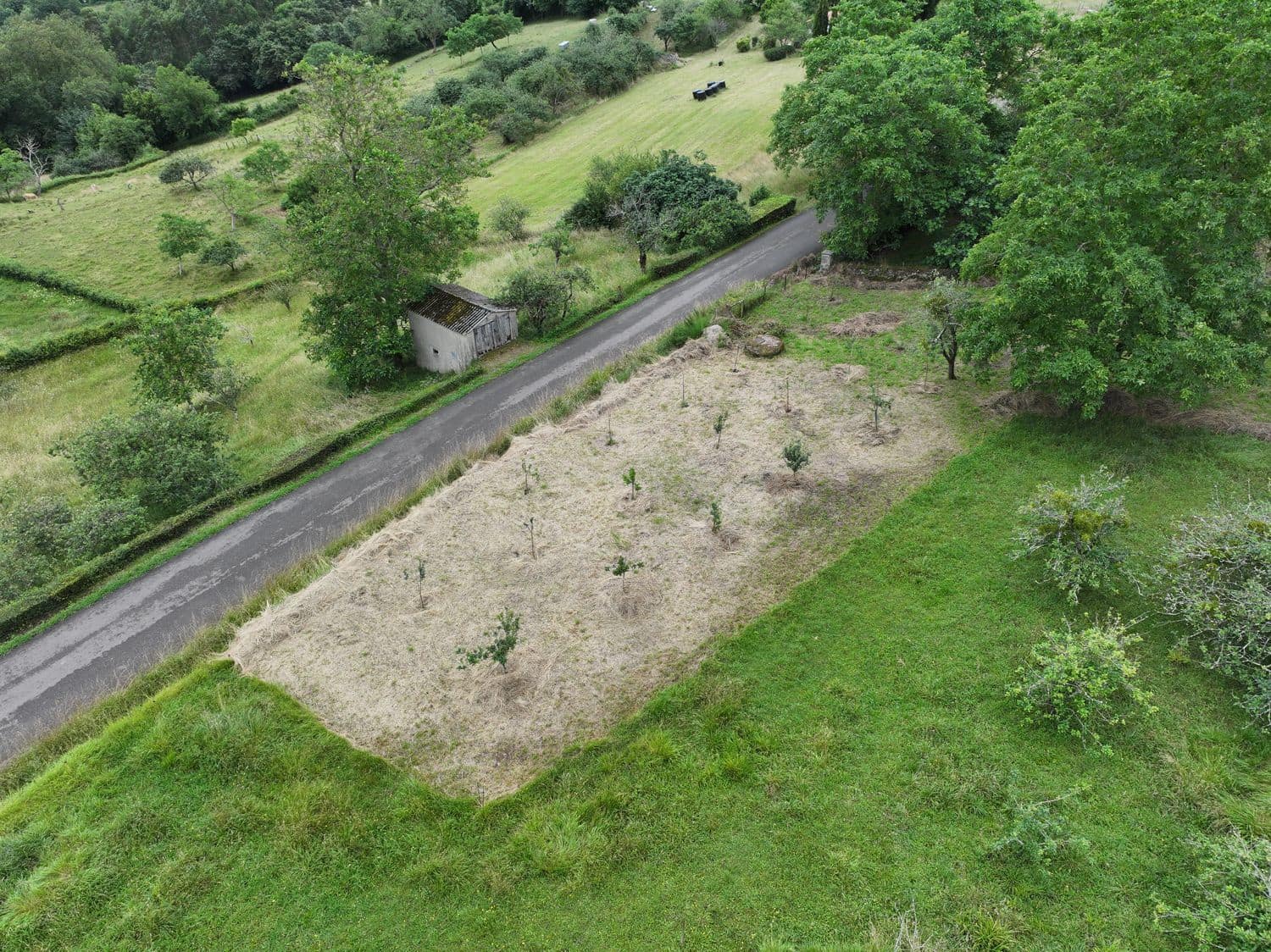 Grunde uden byggetilladelser til salg i Villaviciosa - € 40.000 (Ref: 9124562)