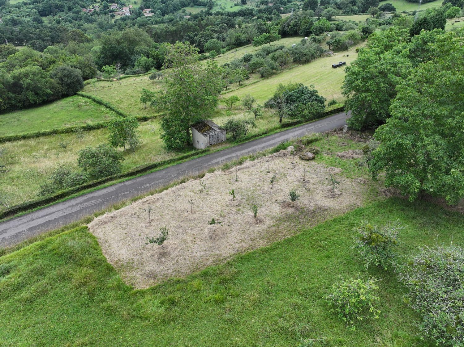 Grunde uden byggetilladelser til salg i Villaviciosa - € 40.000 (Ref: 9124562)