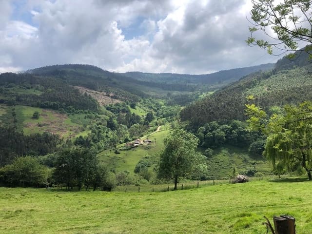 Ubebygd land til salgs i Villaviciosa - € 20 000 (Ref: 9126600)