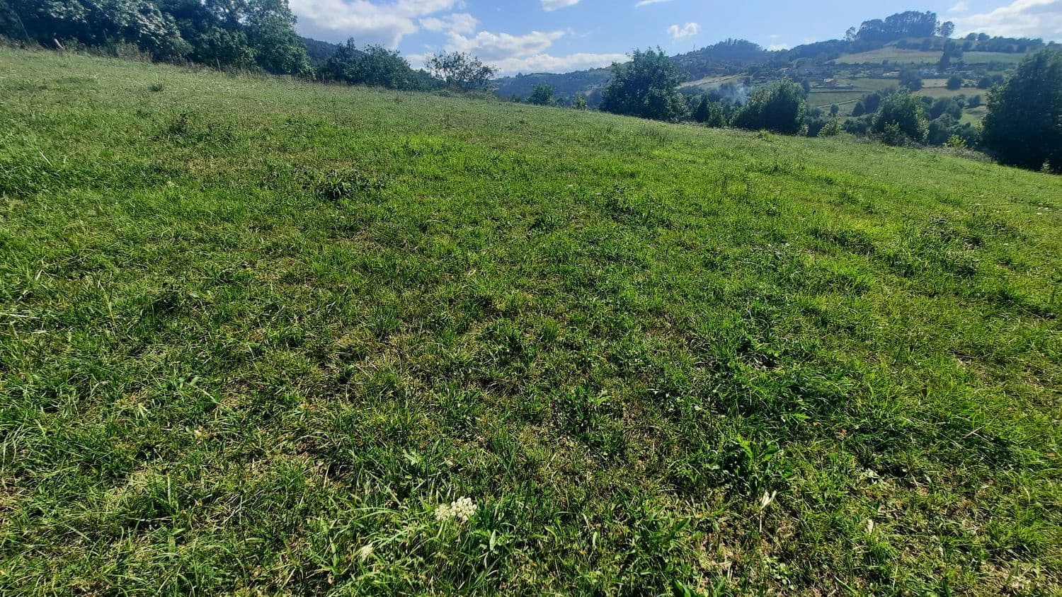 Ubebygd land til salgs i Gijon - € 25 000 (Ref: 9136913)