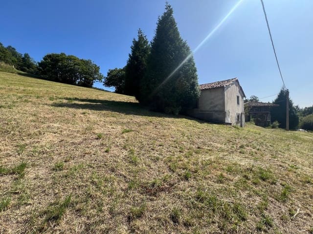 Undeveloped Land for sale in Soto del Barco - € 120,000 (Ref: 9157827)