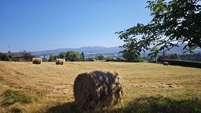 Undeveloped Land for sale in Siero - € 55,000 (Ref: 9177204)