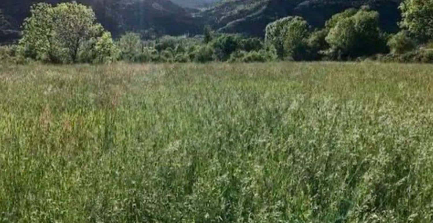 Grond te koop in Luarca - € 30.000 (Ref: 9183296)