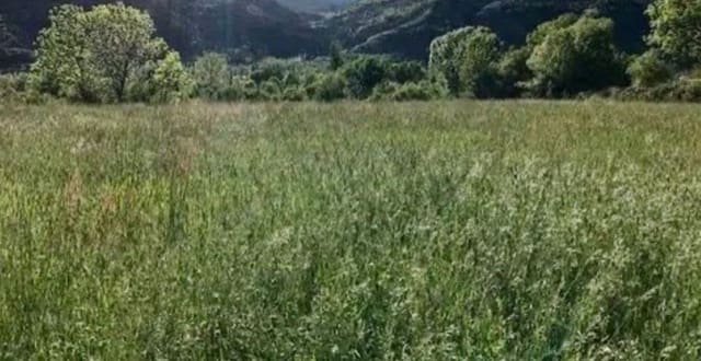 Grond te koop in Luarca, Valdés - € 30.000 (Ref: 9183296)