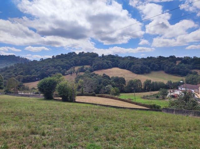 Mark till salu i Siero - 33 900 € (Ref: 9183297)