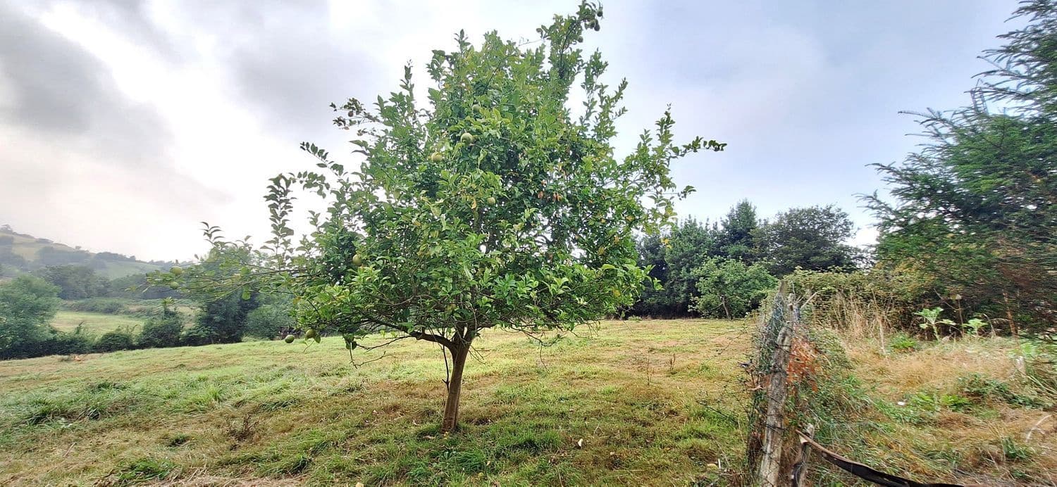 Grunde uden byggetilladelser til salg i Gijon - € 32.000 (Ref: 9187973)