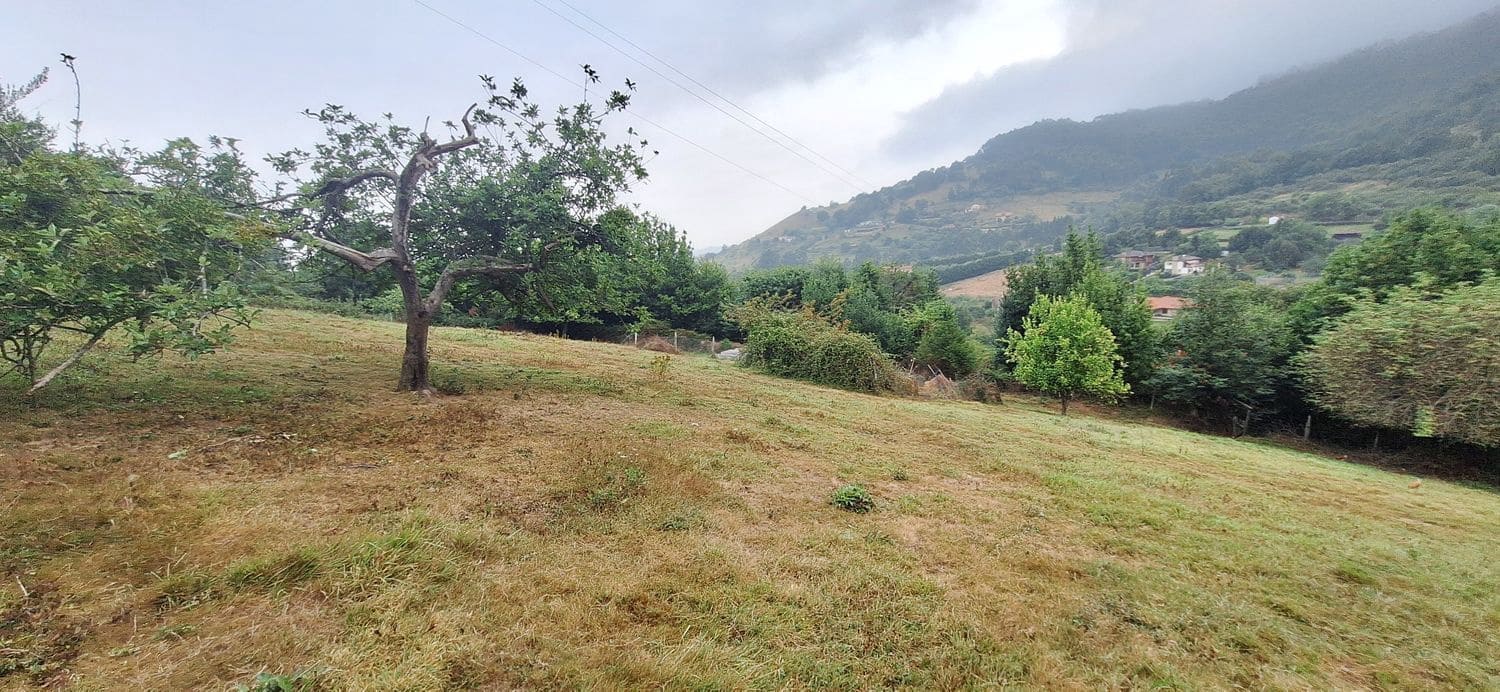 Grunde uden byggetilladelser til salg i Gijon - € 32.000 (Ref: 9187973)
