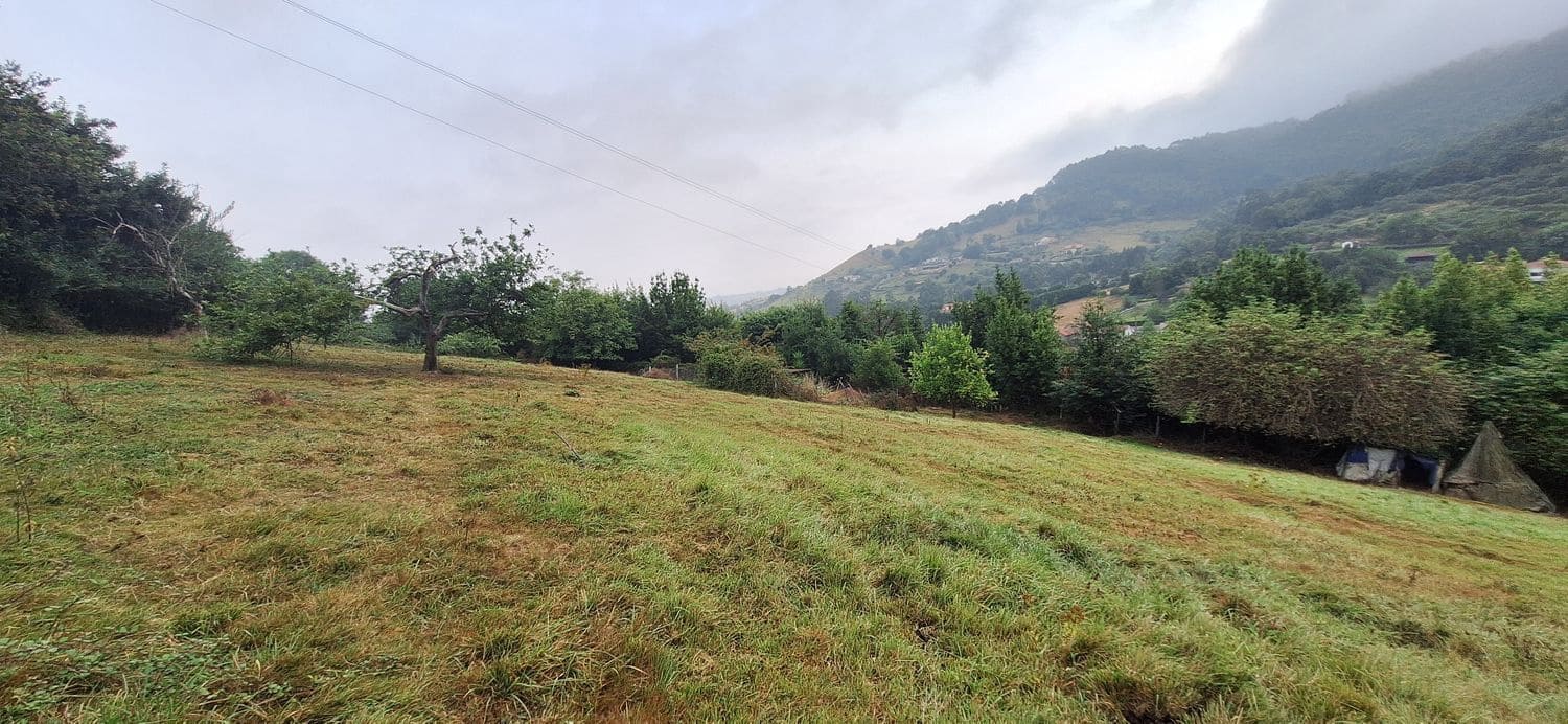 Grunde uden byggetilladelser til salg i Gijon - € 32.000 (Ref: 9187973)