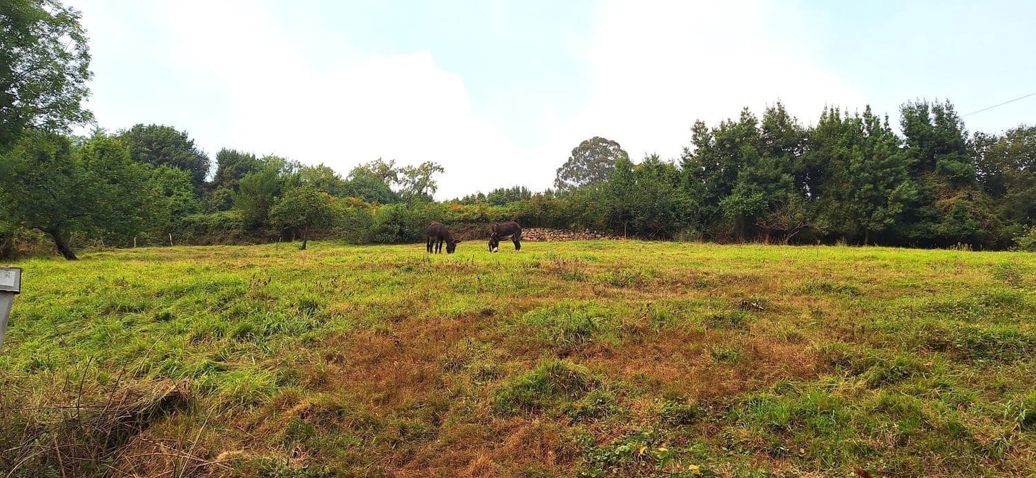 Grunde uden byggetilladelser til salg i Gijon - € 32.000 (Ref: 9187973)