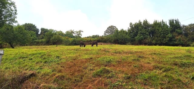 Undeveloped Land for sale in Gijón - € 32,000 (Ref: 9187973)