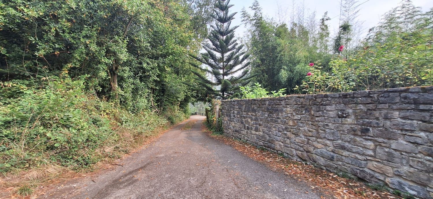 Grunde uden byggetilladelser til salg i Gijon - € 32.000 (Ref: 9187973)