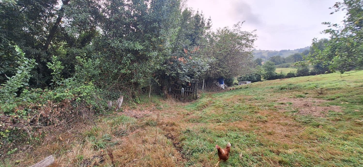 Grunde uden byggetilladelser til salg i Gijon - € 32.000 (Ref: 9187973)