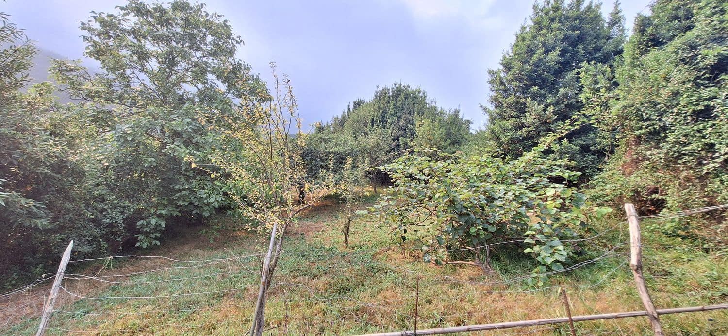 Grunde uden byggetilladelser til salg i Gijon - € 32.000 (Ref: 9187973)