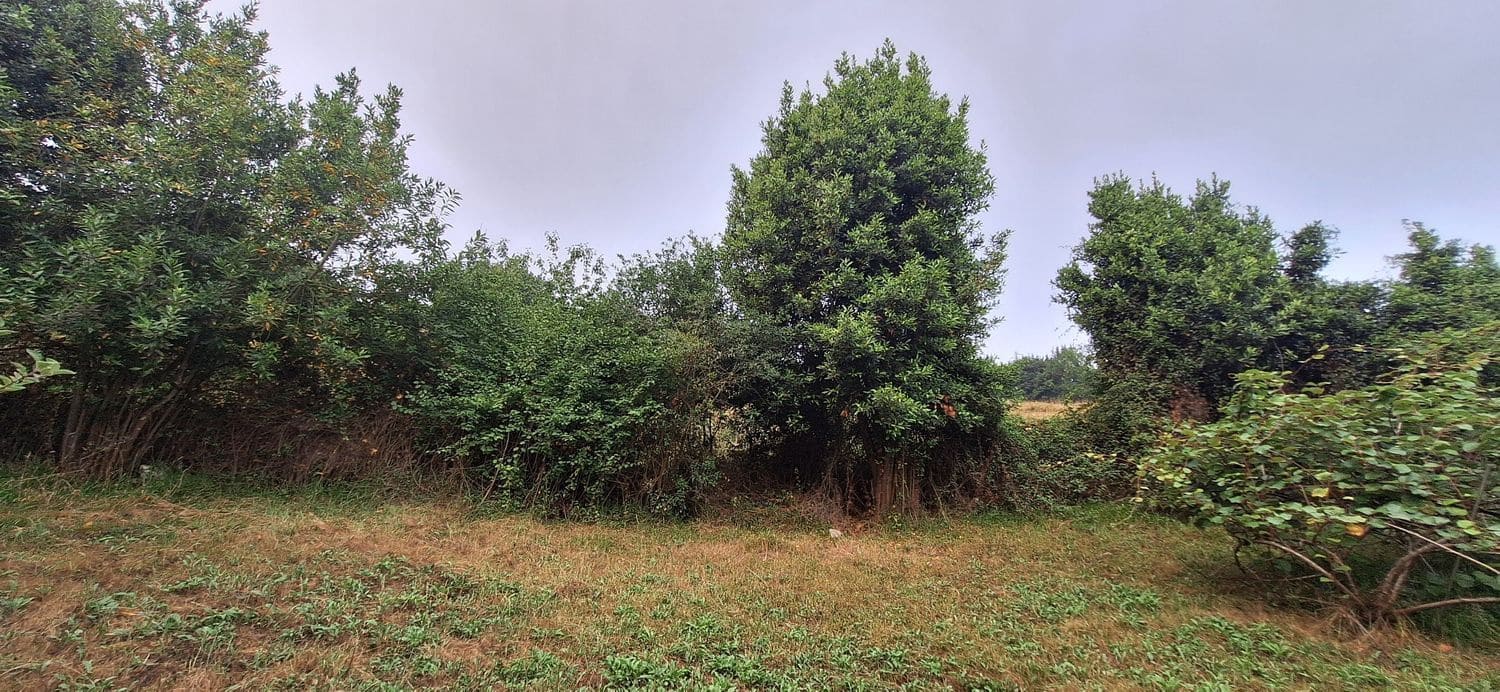 Grunde uden byggetilladelser til salg i Gijon - € 32.000 (Ref: 9187973)