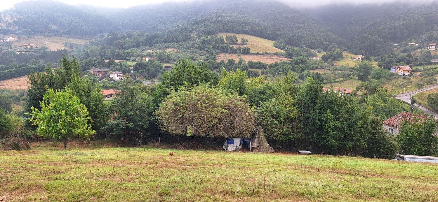Grunde uden byggetilladelser til salg i Gijon - € 32.000 (Ref: 9187973)