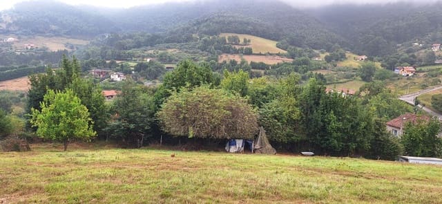 Undeveloped Land for sale in Gijón - € 32,000 (Ref: 9187973)