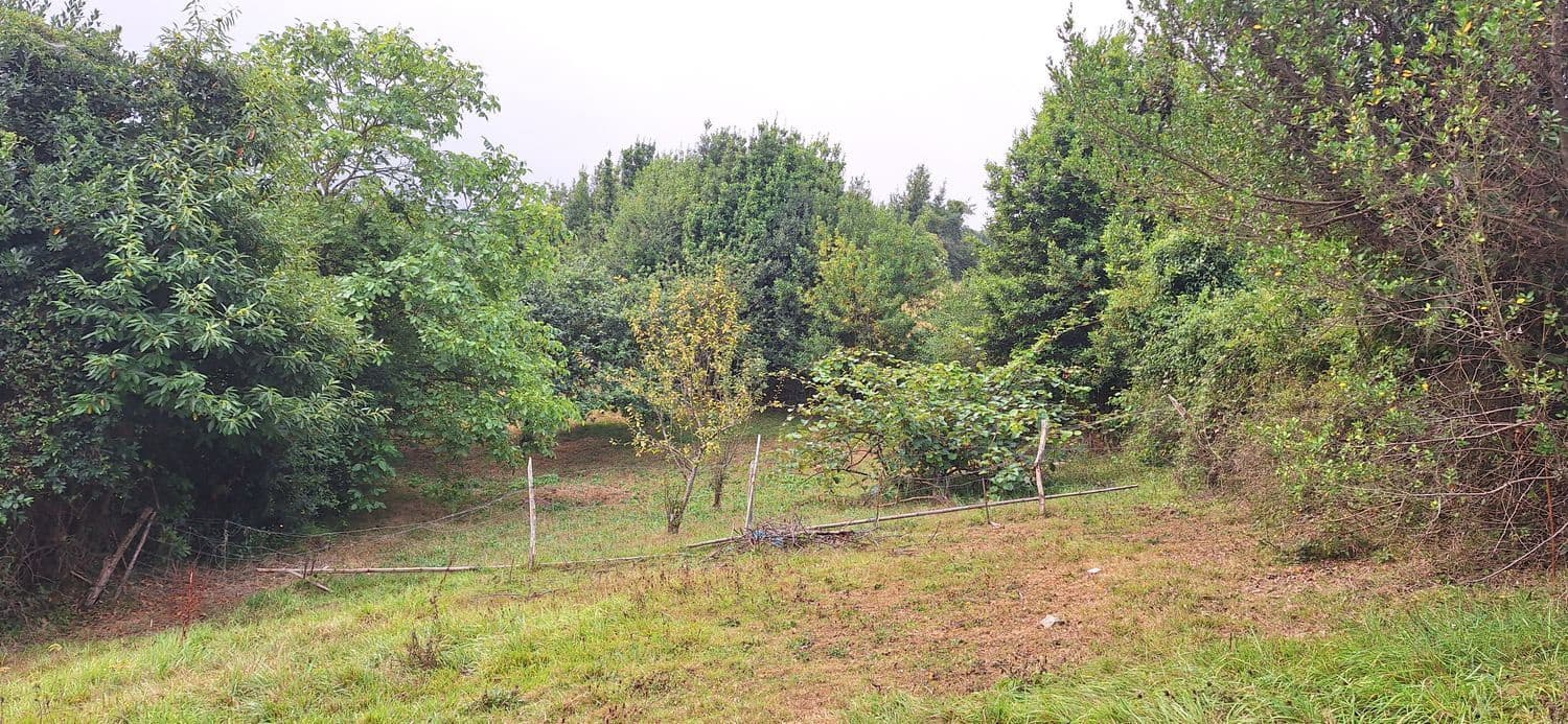 Grunde uden byggetilladelser til salg i Gijon - € 32.000 (Ref: 9187973)