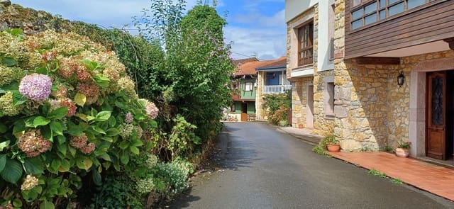 3 chambre Maison de Ville à vendre à Nava avec garage - 77 000 € (Ref: 9189031)