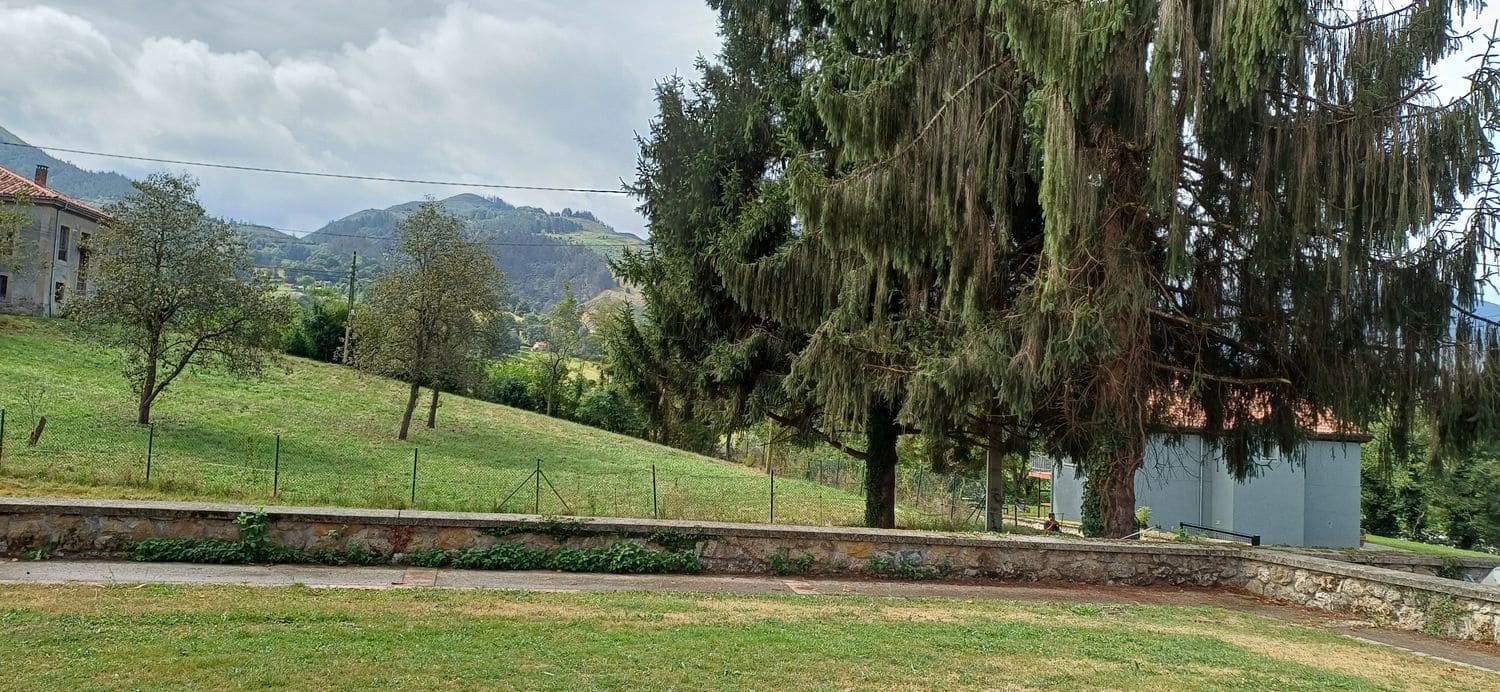 3 slaapkamer Huis te koop in Nava met garage - € 77.000 (Ref: 9189031)