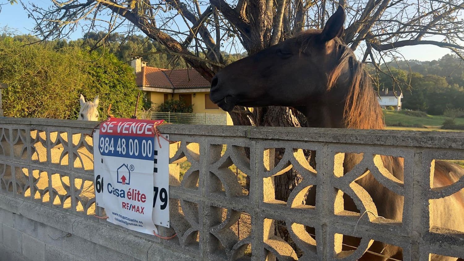 Mark till salu i Gijon - 140 000 € (Ref: 9206205)