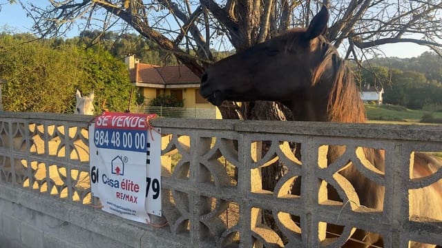 Mark till salu i Gijón - 140 000 € (Ref: 9206205)