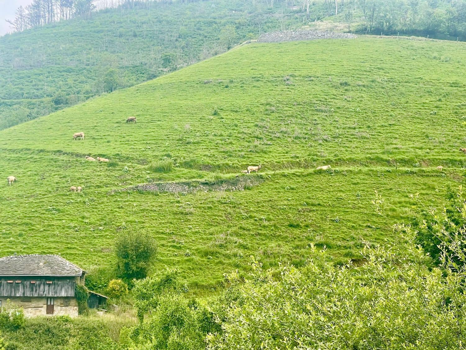 4 slaapkamer Finca/Landhuis te koop in Luarca met garage - € 150.000 (Ref: 9230328)