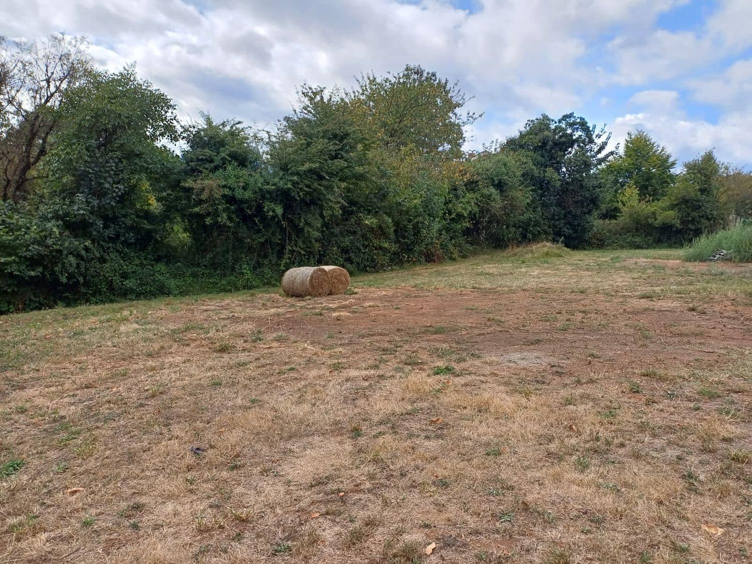 Grunde uden byggetilladelser til salg i Las Regueras - € 35.000 (Ref: 9232059)