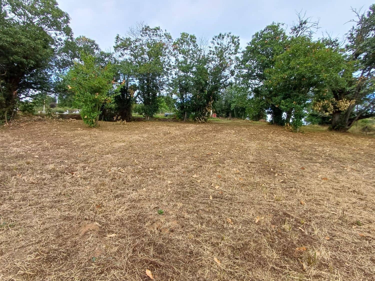 Grunde uden byggetilladelser til salg i Las Regueras - € 40.000 (Ref: 9232060)