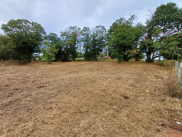 Mark till salu i Las Regueras - 40 000 € (Ref: 9232060)