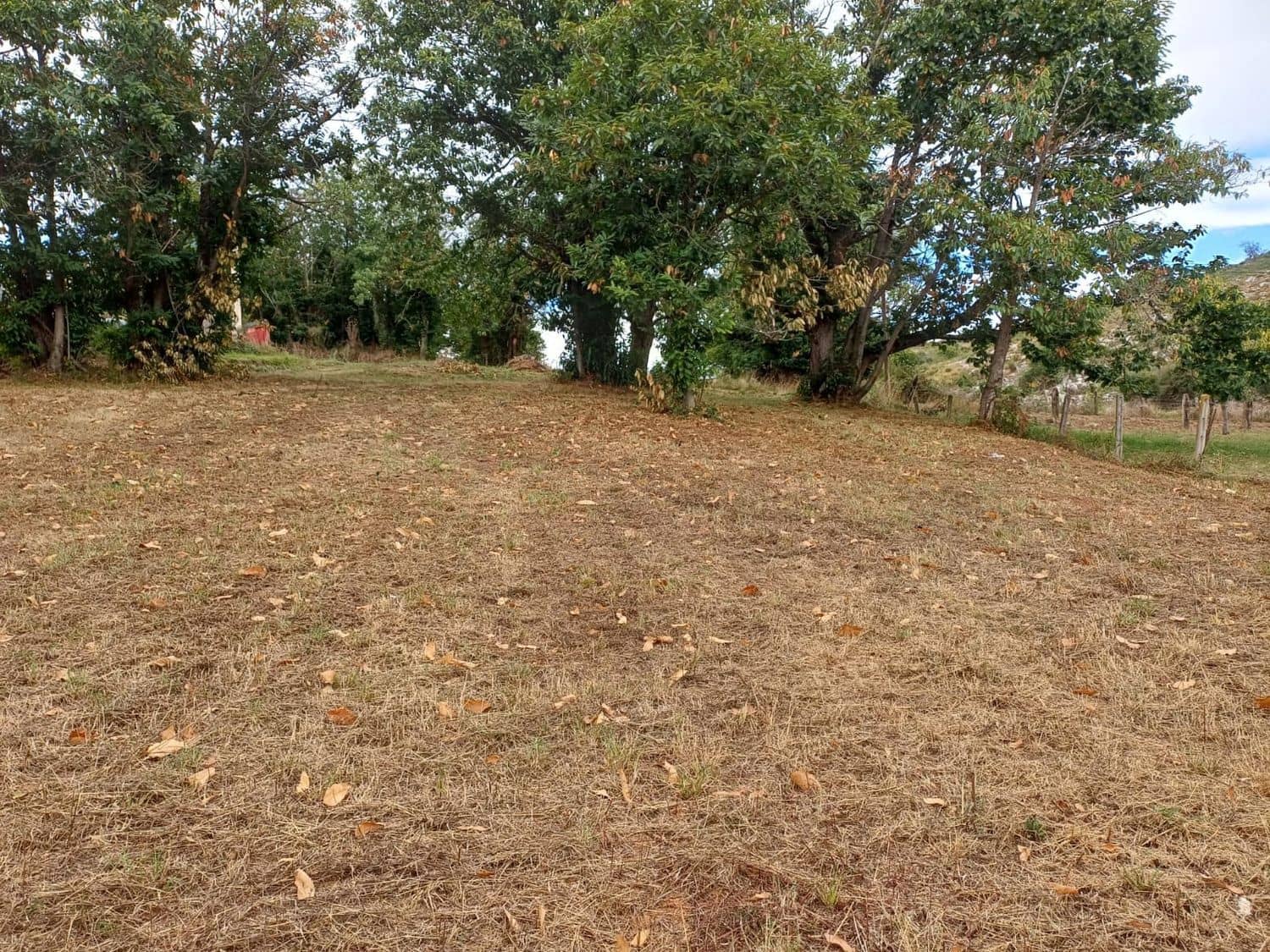 Grunde uden byggetilladelser til salg i Las Regueras - € 40.000 (Ref: 9232060)