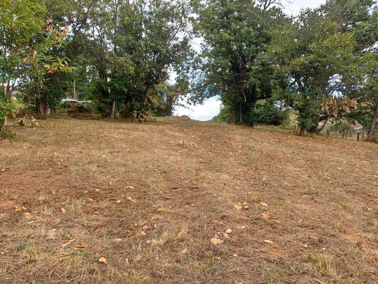 Grunde uden byggetilladelser til salg i Las Regueras - € 40.000 (Ref: 9232060)