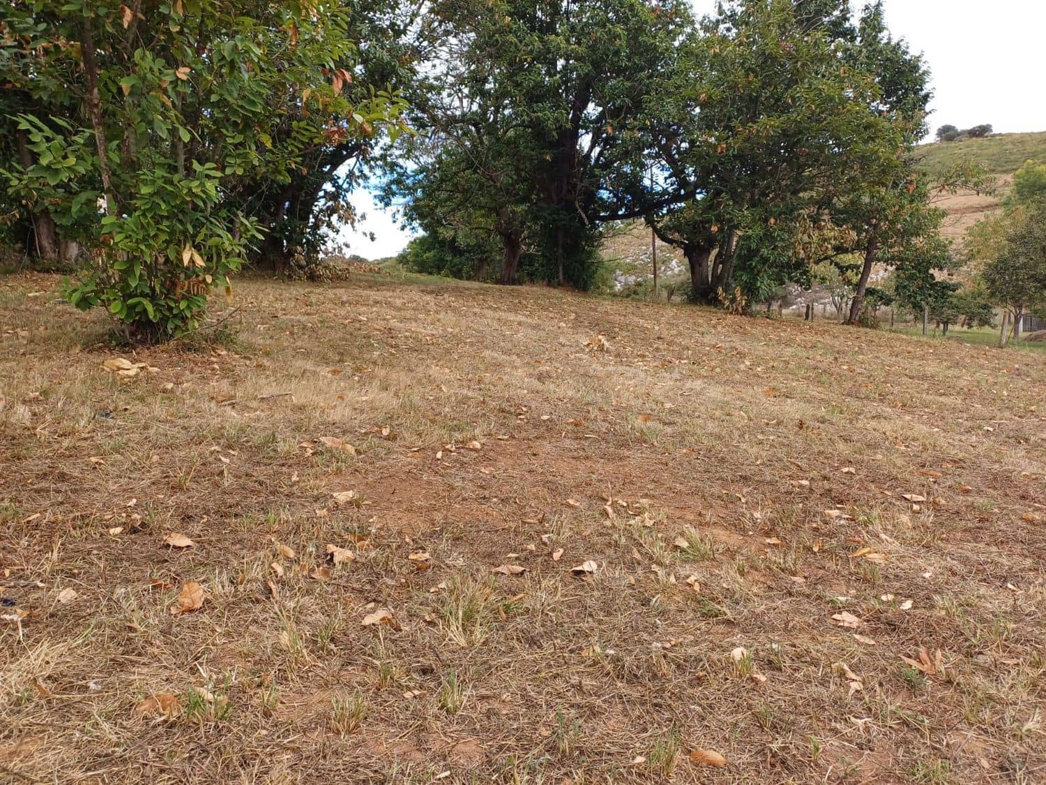 Grunde uden byggetilladelser til salg i Las Regueras - € 40.000 (Ref: 9232060)