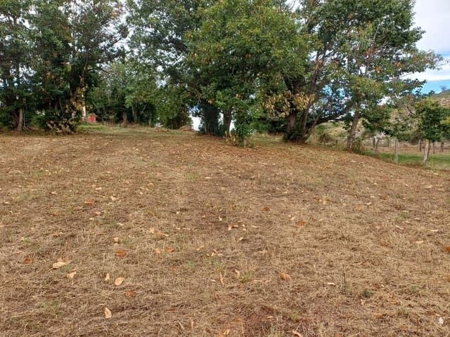 Mark till salu i Las Regueras - 40 000 € (Ref: 9232060)