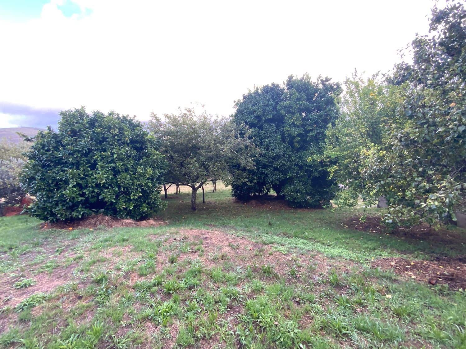 3 sypialnia Finka/Dom wiejski na sprzedaż w Coana z garażem - 149 000 € (Ref: 9254600)