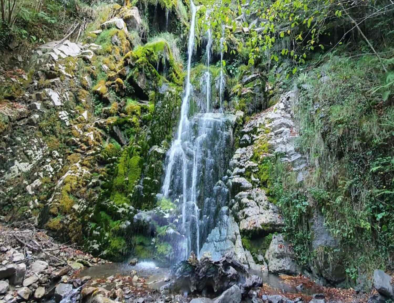 Grunde uden byggetilladelser til salg i Aller - € 12.000 (Ref: 9297414)